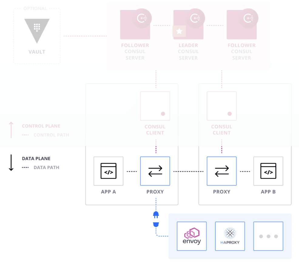 Envoy proxy pluggable proxies diagram