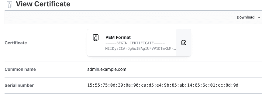 View certificate in Vault