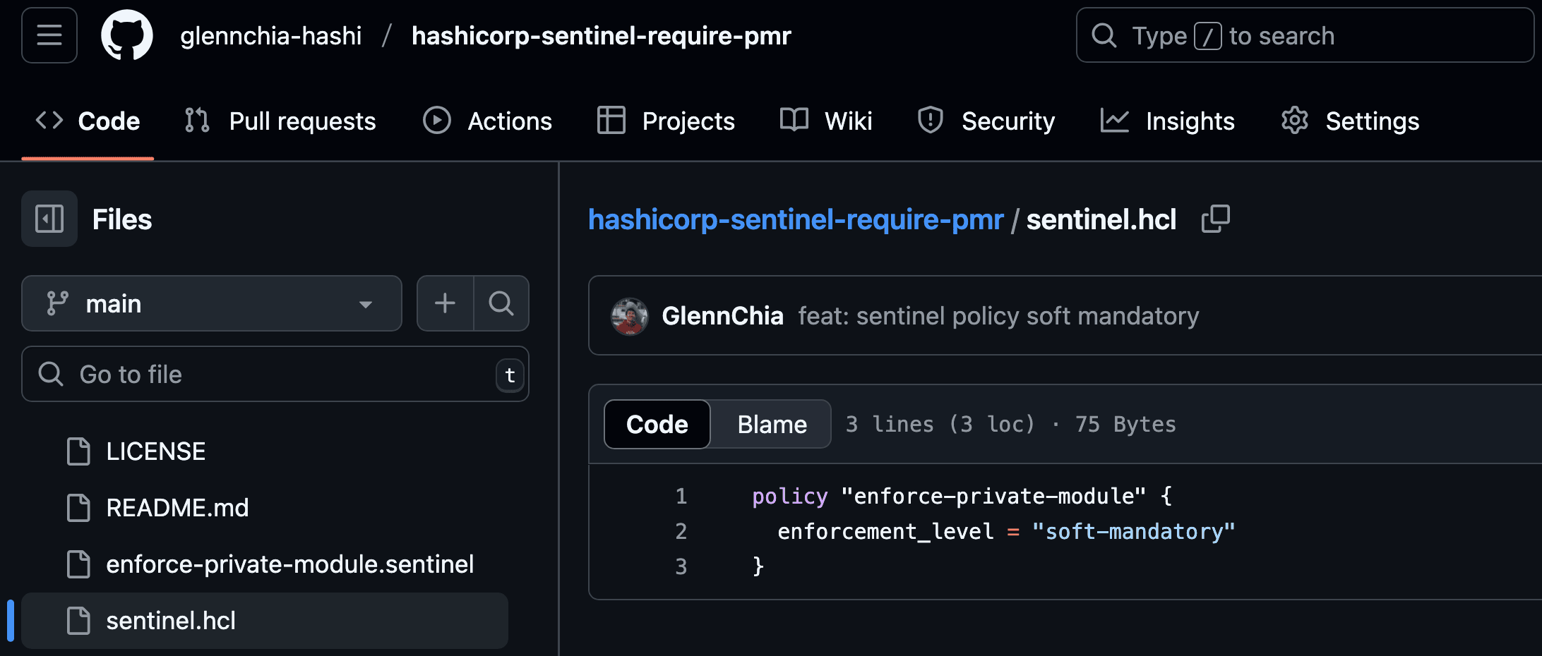Sentinel file