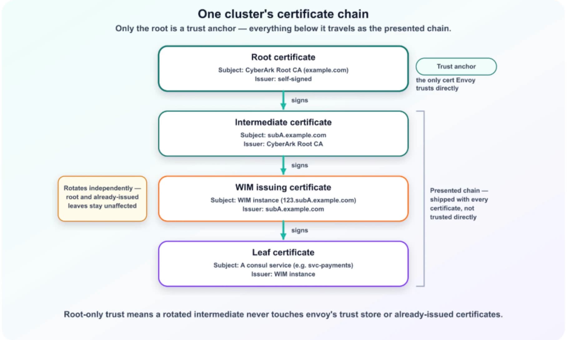 cert chain