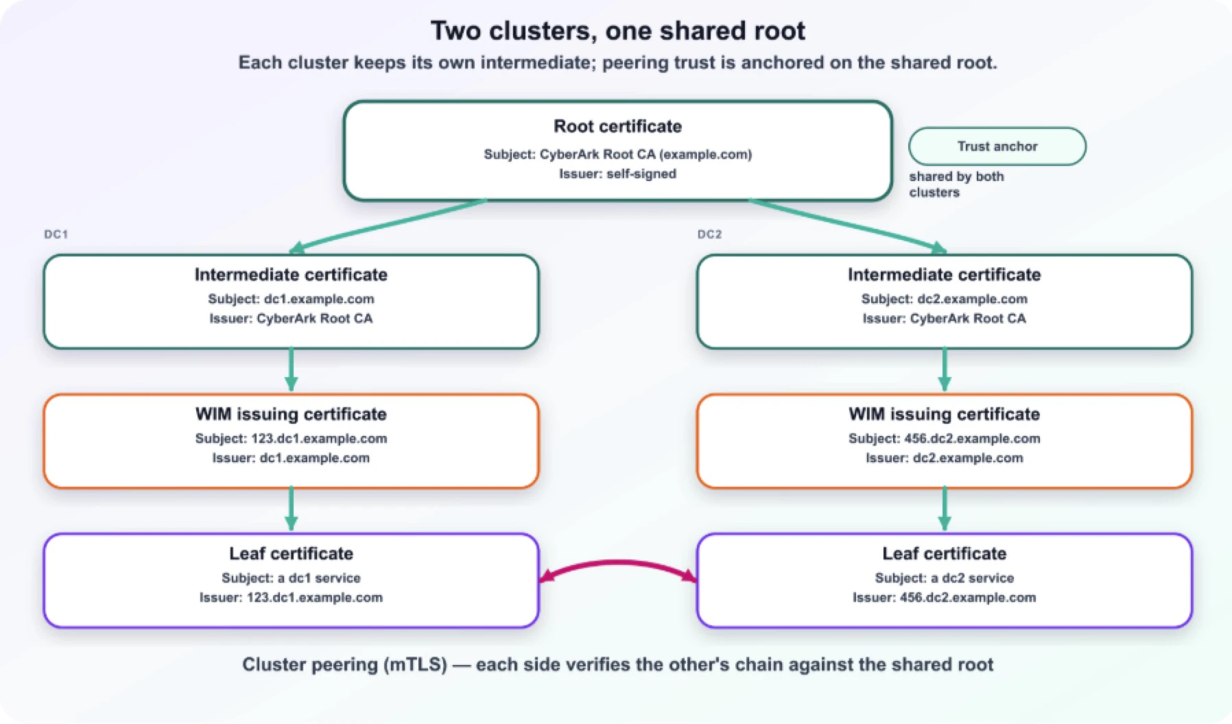 two clusters, one shared root